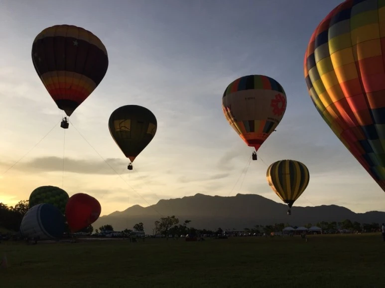 attachImage_1150168129.jpeg?type=w773