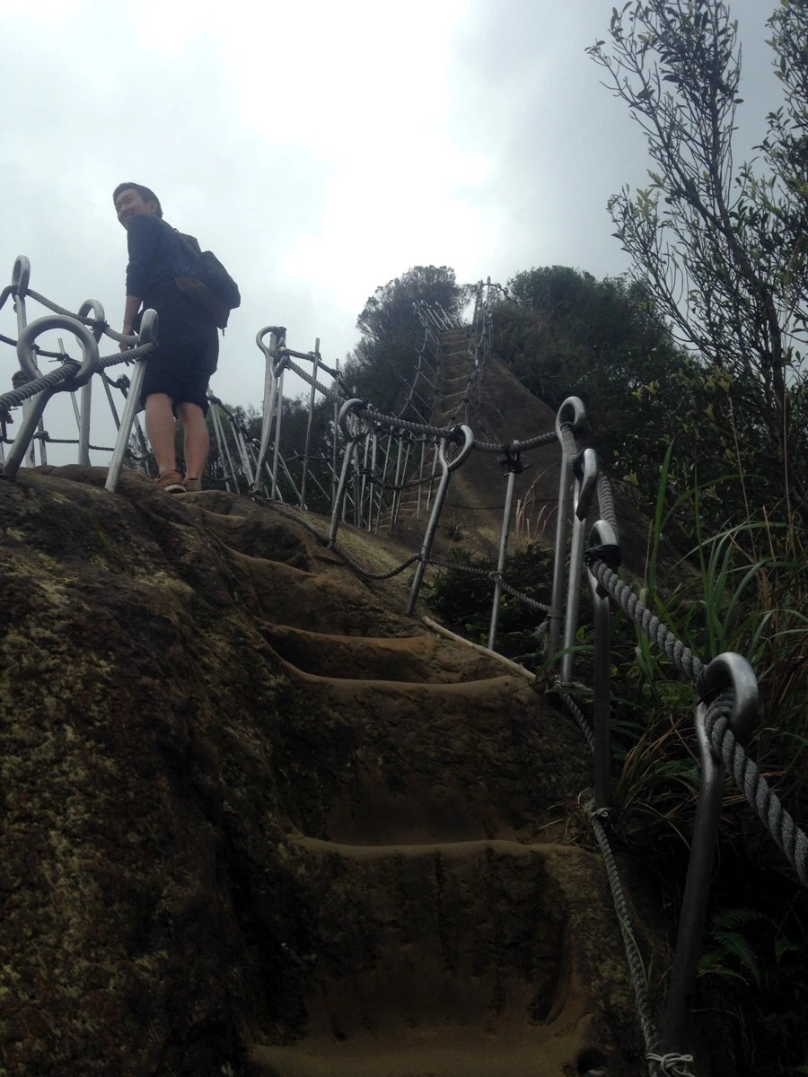 IMG_6972.jpg?type=w966