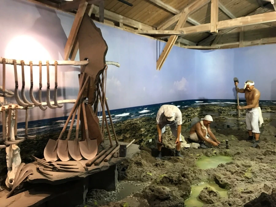 IMG_1696.jpg?type=w966