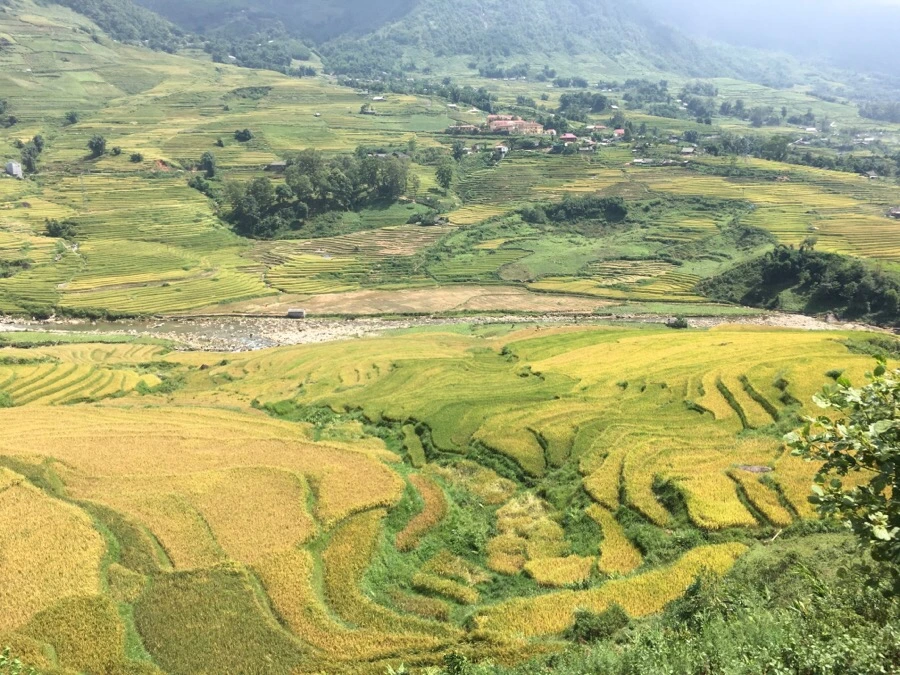 IMG_3537.JPG?type=w1