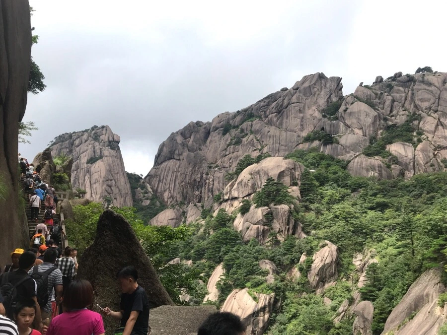 IMG_0850.jpg?type=w966