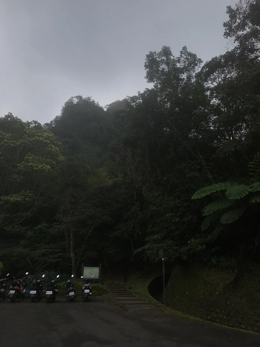 IMG_0976.jpg?type=w966