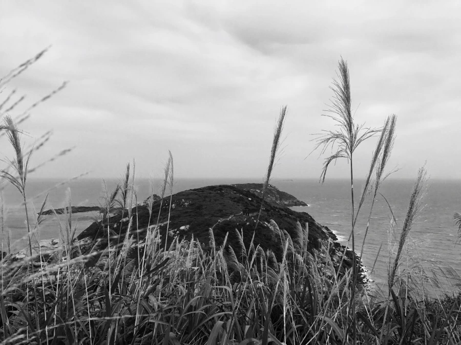 IMG_8579.jpg?type=w966