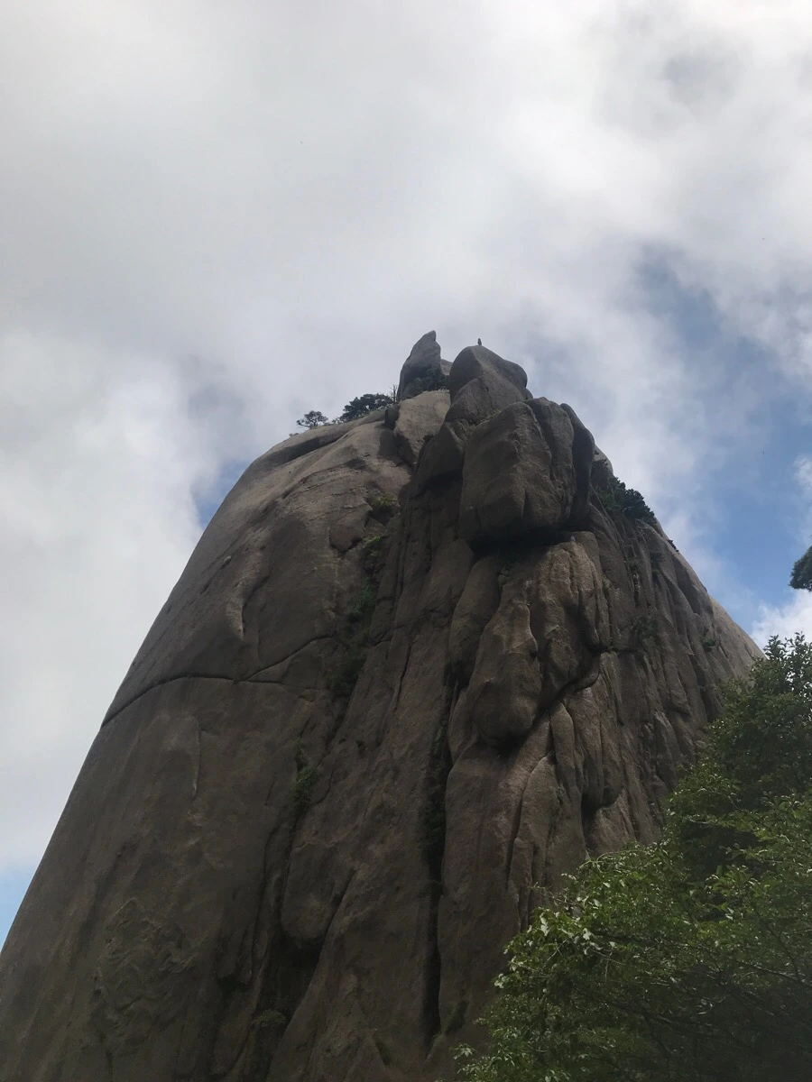 IMG_0873.jpg?type=w966