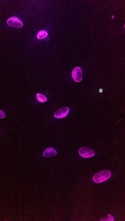 IMAG3292.jpg?type=w2