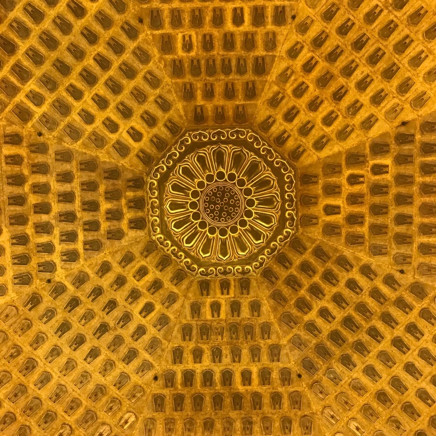 IMG_1227.jpg?type=w966