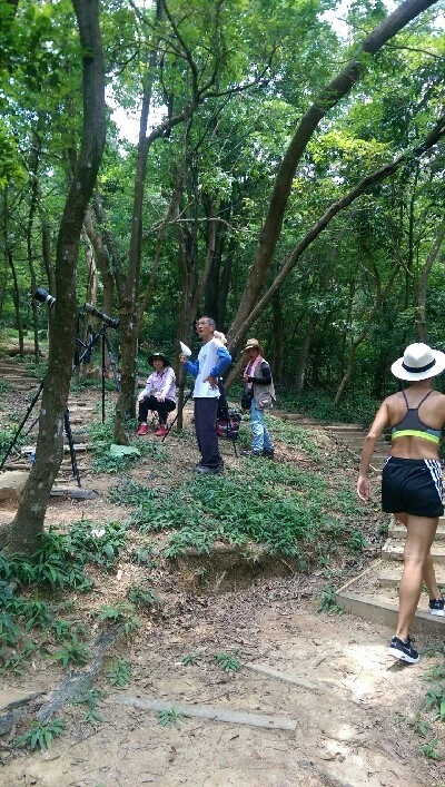 IMAG6086.jpg?type=w773