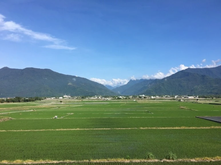 attachImage_2064866245.jpeg?type=w773