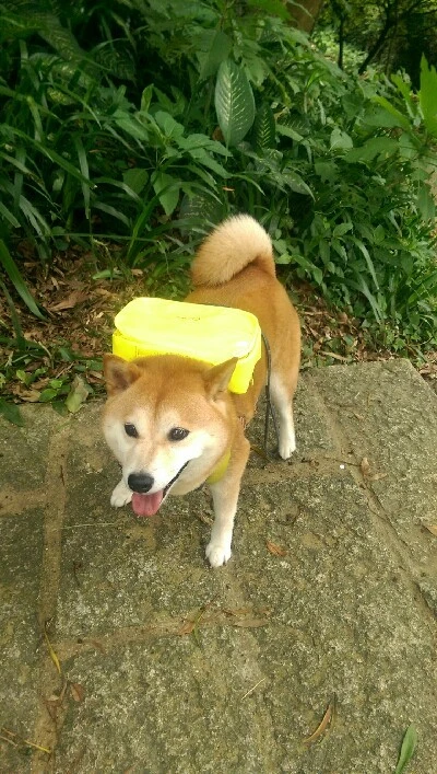 IMAG5150.jpg?type=w773