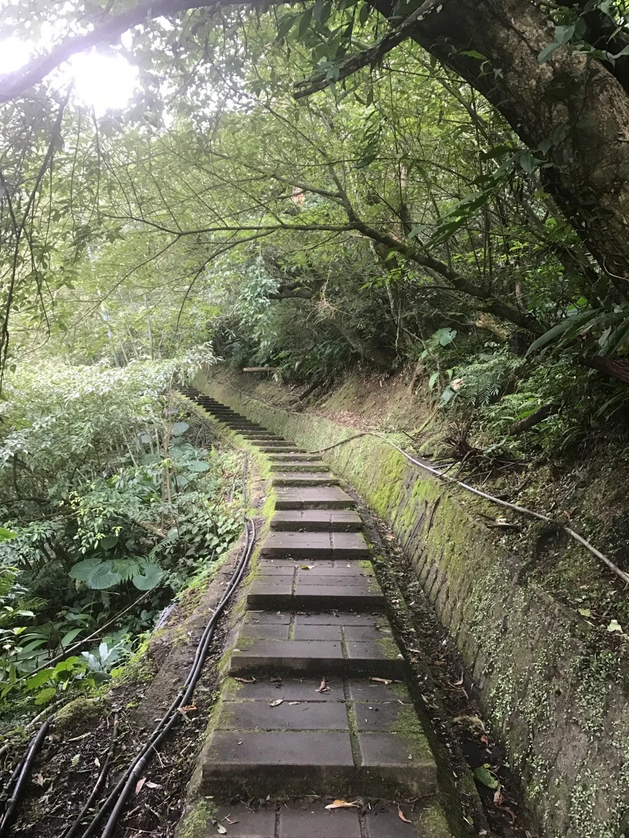 IMG_0974.jpg?type=w966