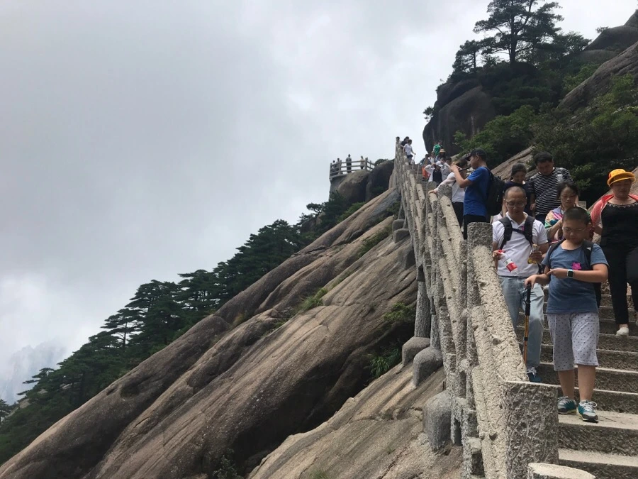 IMG_0814.jpg?type=w966