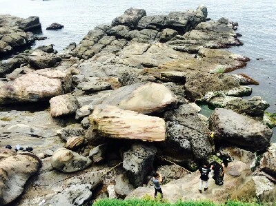 1466404651110.jpg?type=w773