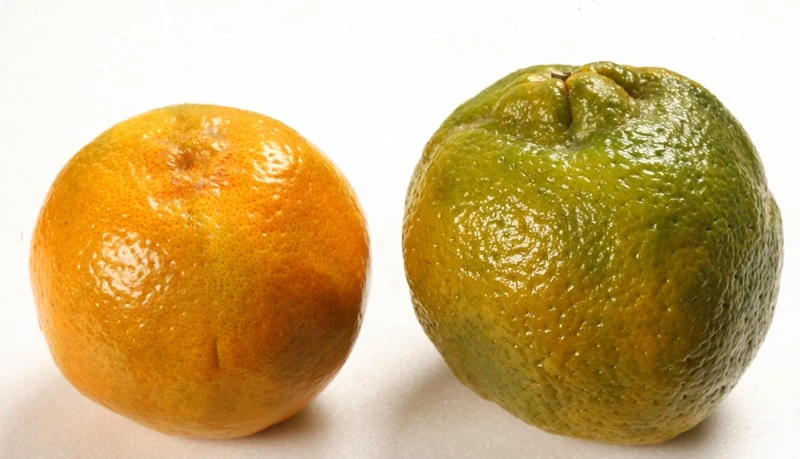 170105-5100-7-RP6pC.jpg?type=w966