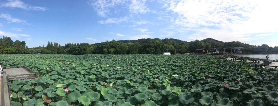 IMG_1150.jpg?type=w1