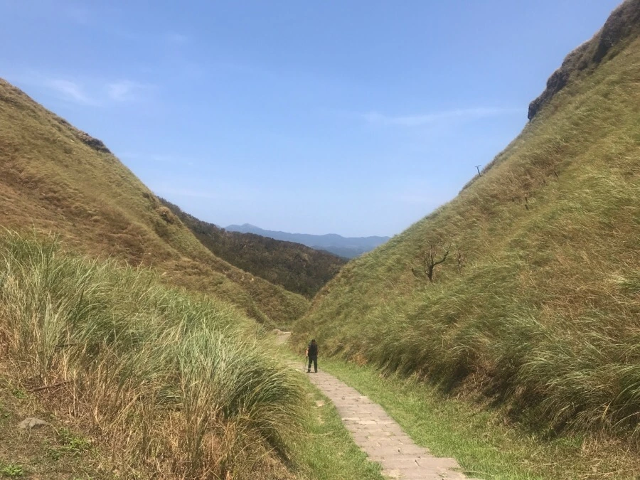 IMG_0115.jpg?type=w966