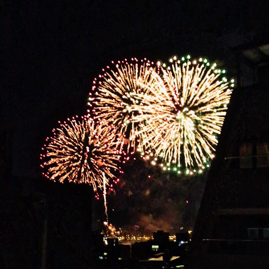 IMG_2113.jpg?type=w966