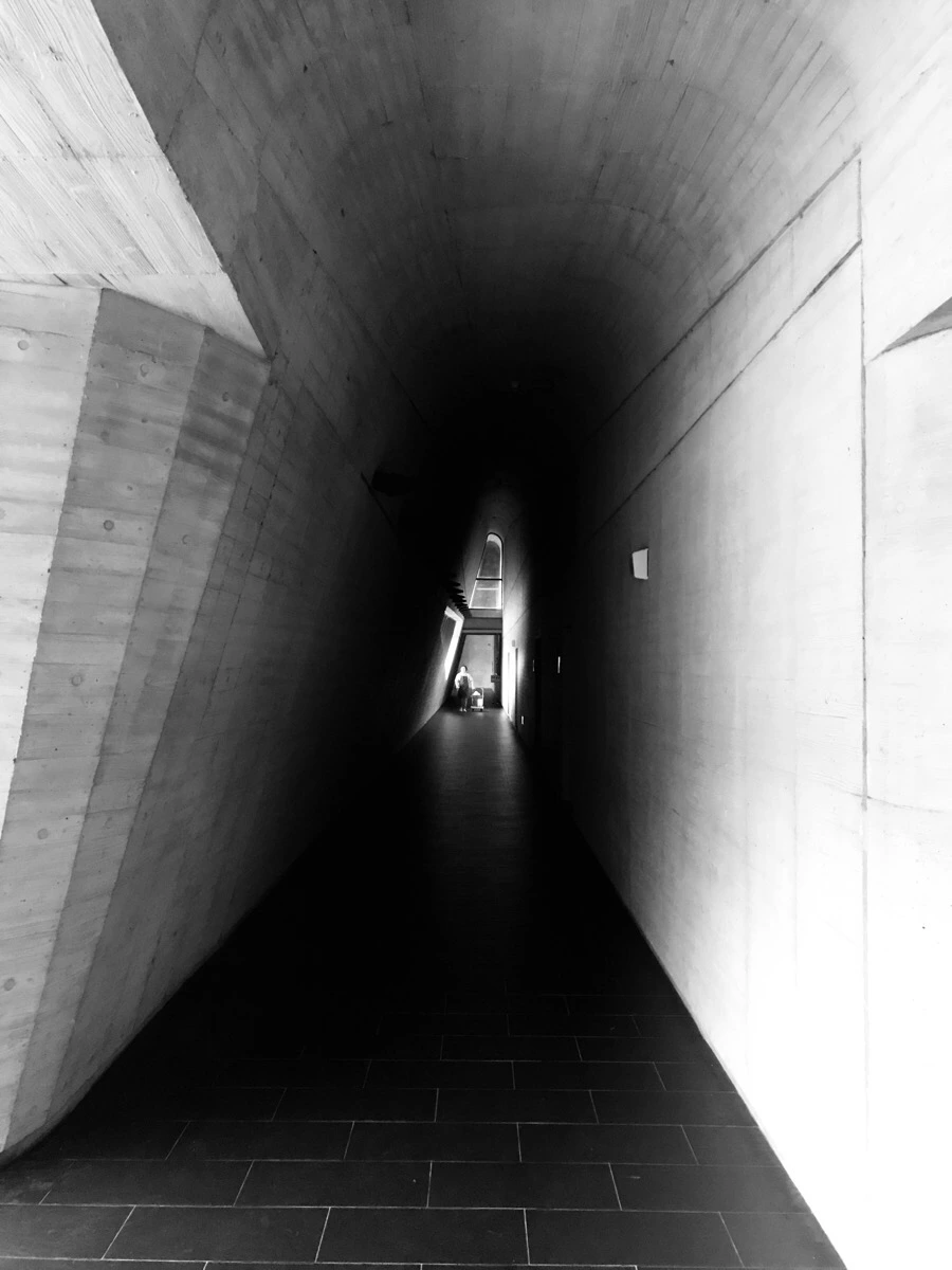 IMG_3114.jpg?type=w966