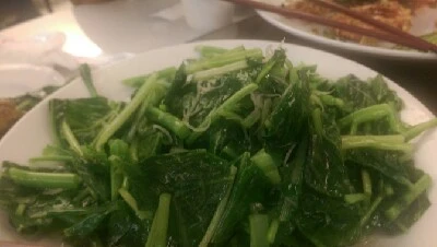 IMAG5912.jpg?type=w773