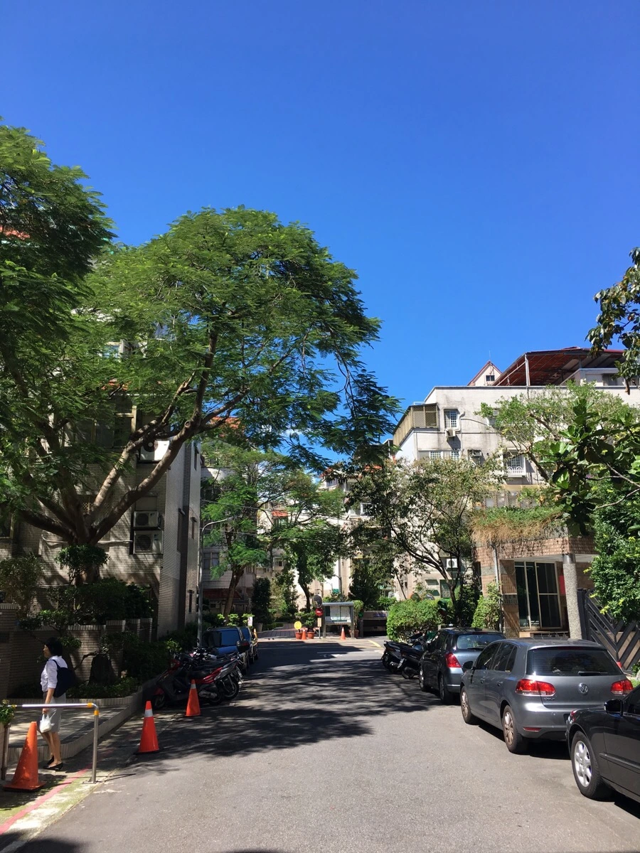 IMG_5318.JPG?type=w966