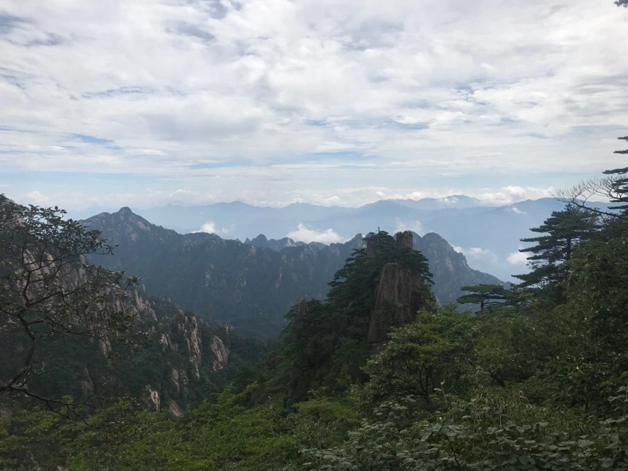 IMG_0723.jpg?type=w966