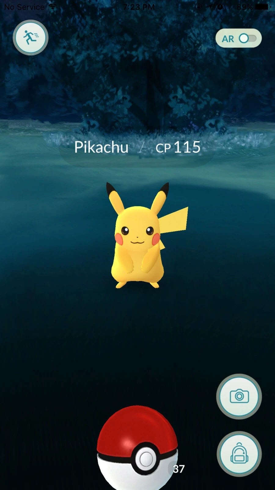 attachImage_1836275928.jpeg?type=w966