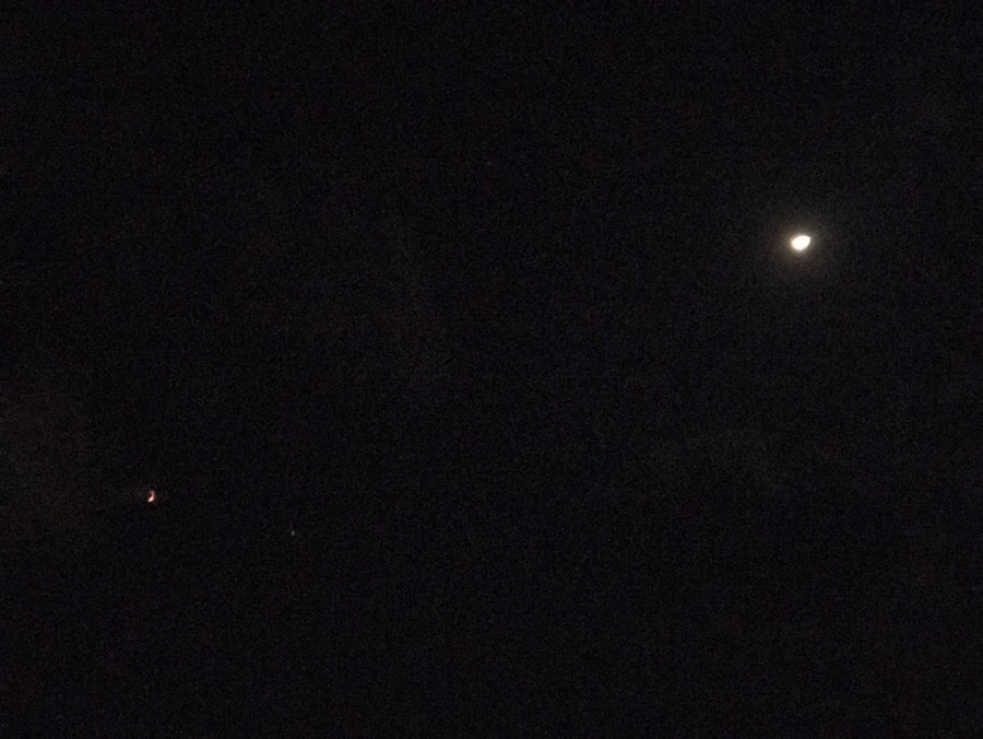 IMG_3839.jpg?type=w966