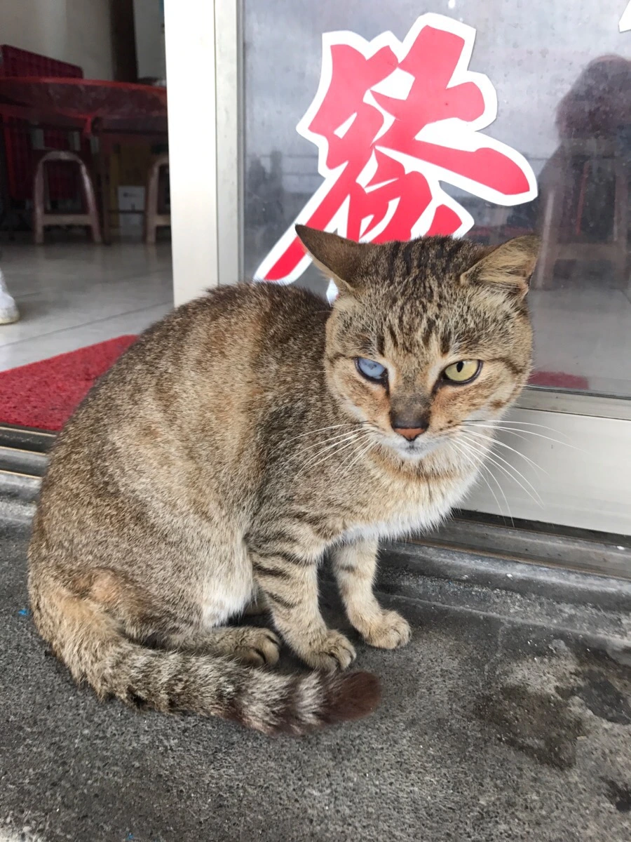 IMG_1770.jpg?type=w966