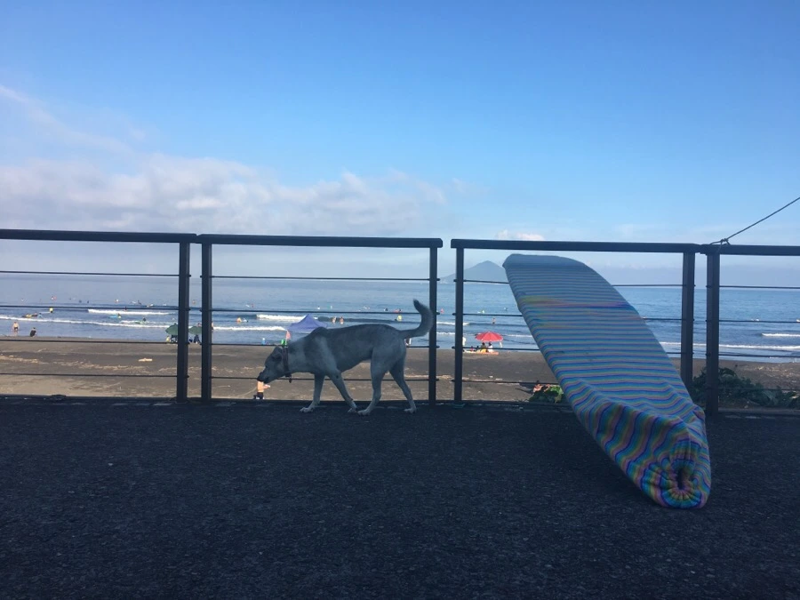 attachImage_1649786514.jpeg?type=w966