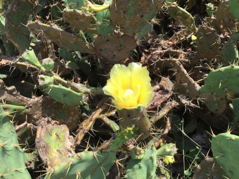 attachImage_881463070.jpeg?type=w773