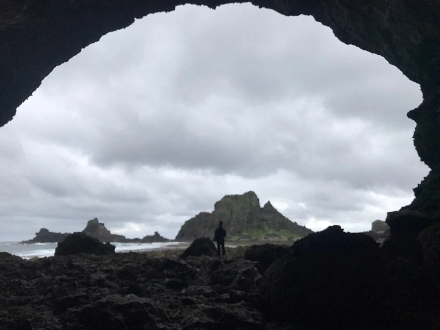 IMG_1621.jpg?type=w966