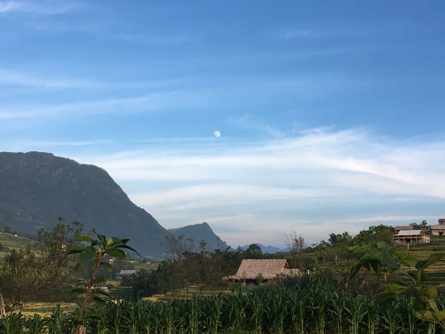 IMG_3421_Original.JPG?type=w1