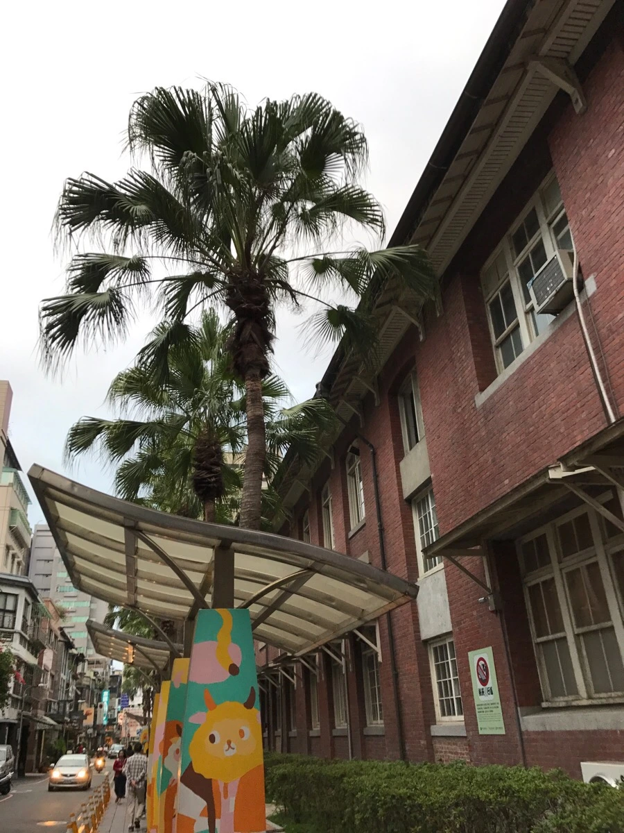 IMG_7104.JPG?type=w966