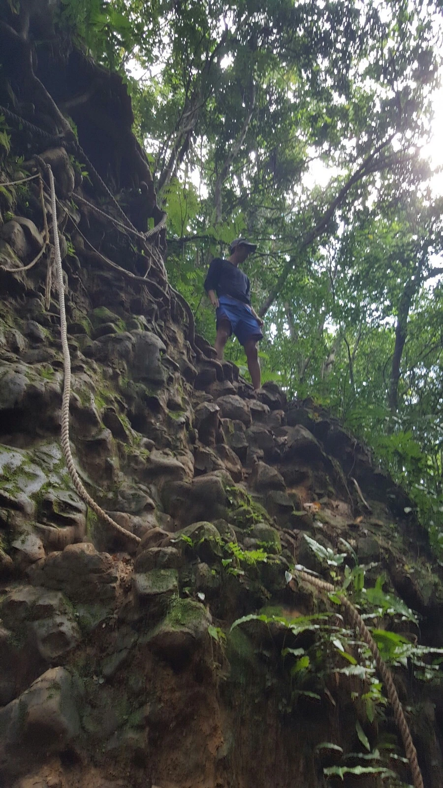 IMG_4127.jpg?type=w966