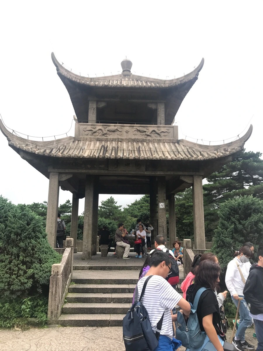 IMG_0784.jpg?type=w966