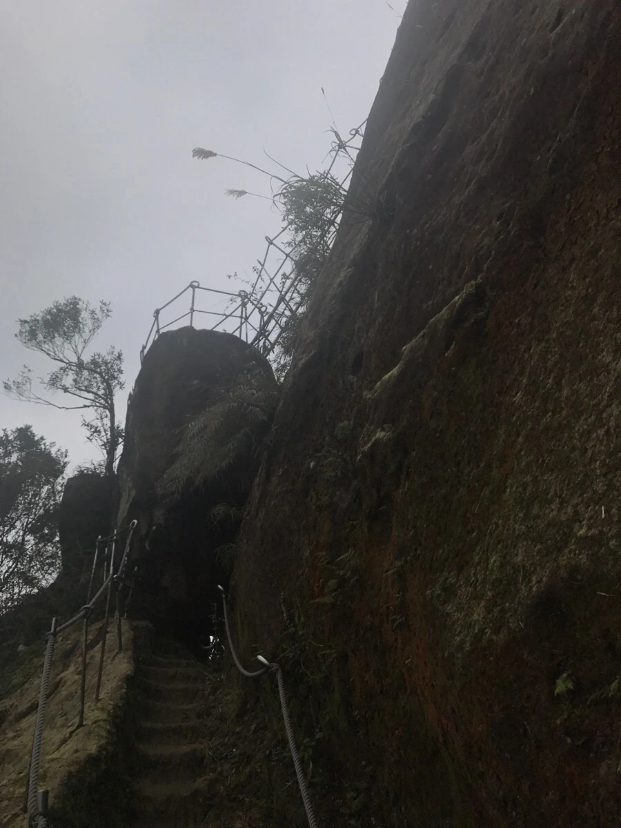 IMG_0989.jpg?type=w966