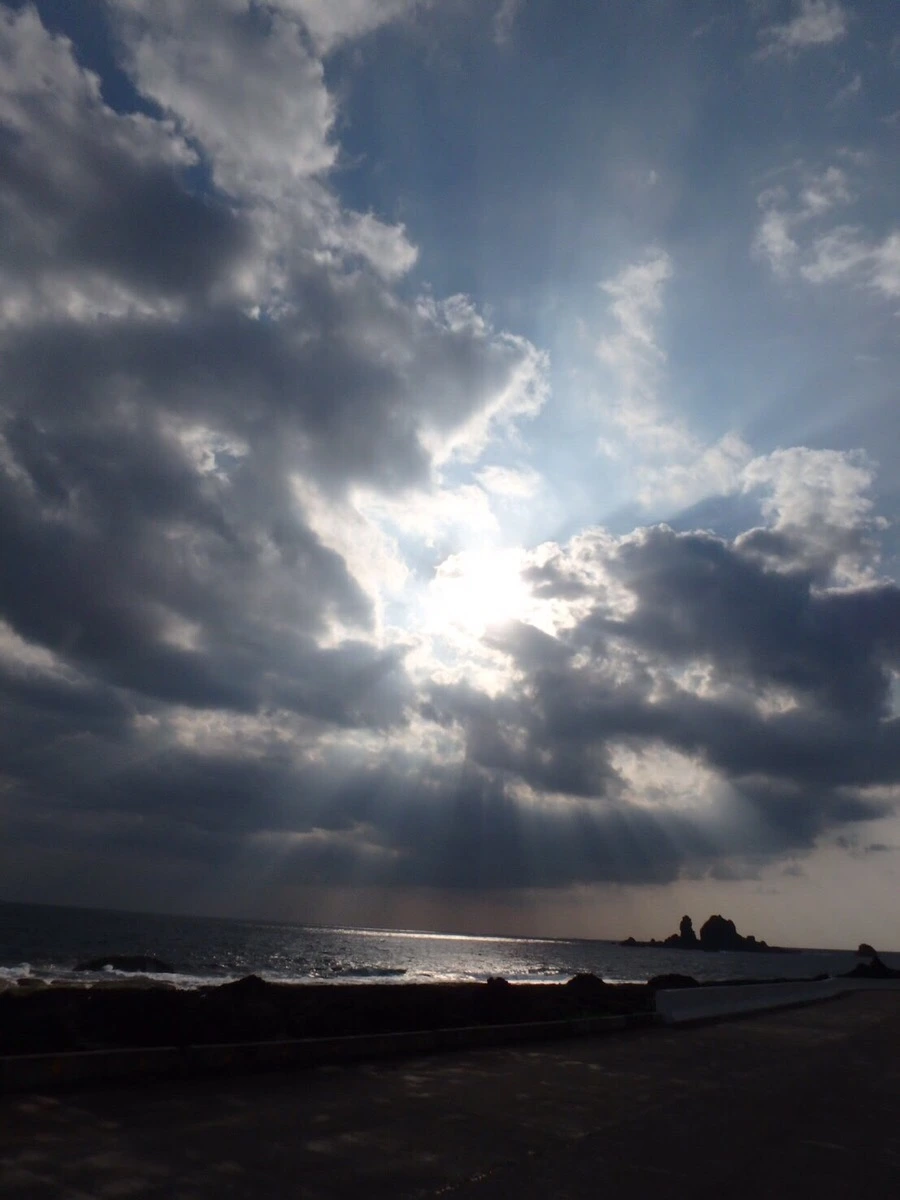 IMG_3959.jpg?type=w966