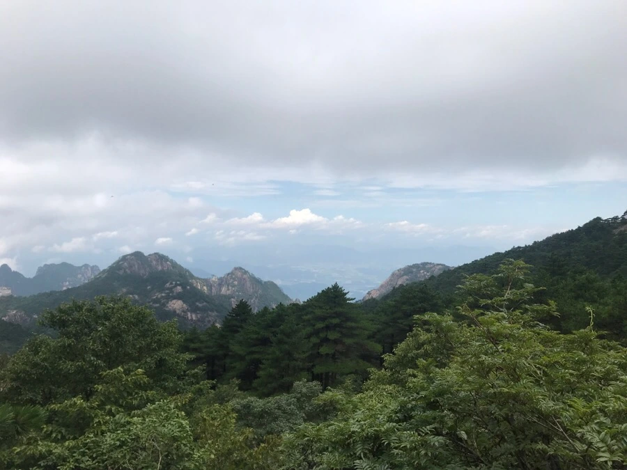 IMG_0756.jpg?type=w966