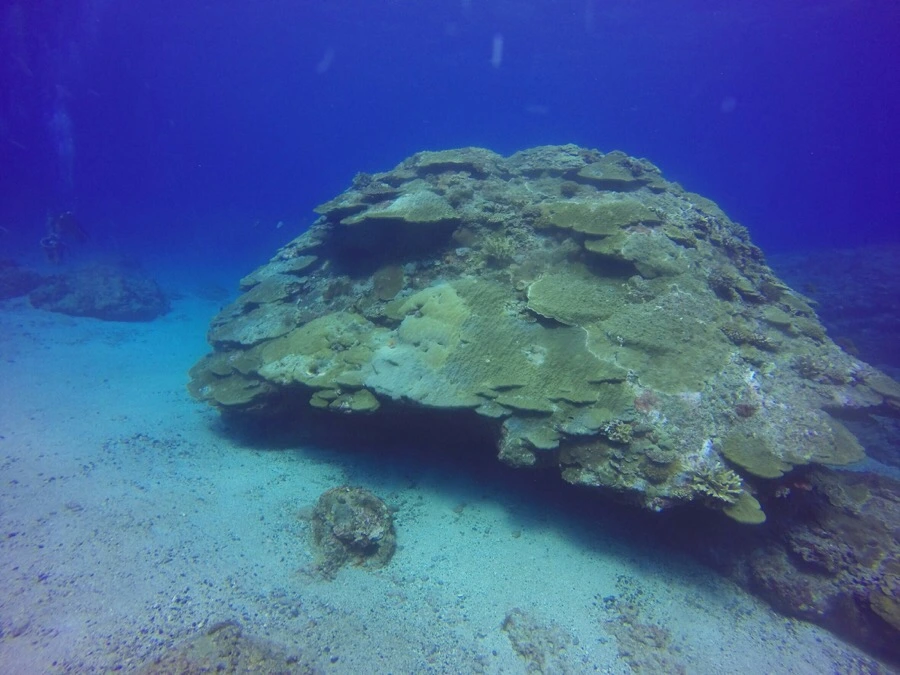 IMG_3599.jpg?type=w966