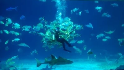 IMAG3300.jpg?type=w2