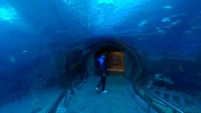 IMAG3305.jpg?type=w2