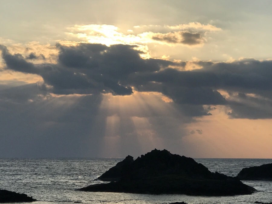 IMG_3852.jpg?type=w966