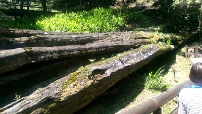 IMAG4880.jpg?type=w773