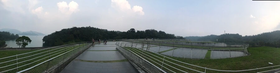 IMG_3108.jpg?type=w966