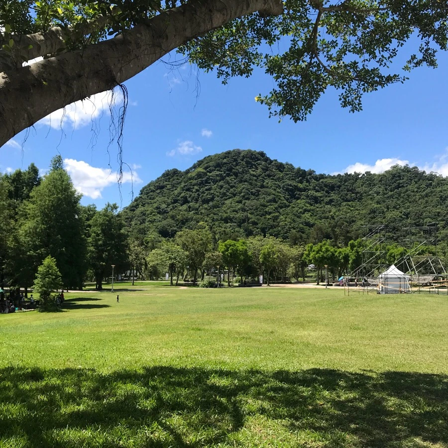 IMG_9661.jpg?type=w966