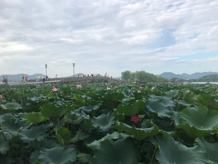 IMG_1064.jpg?type=w966