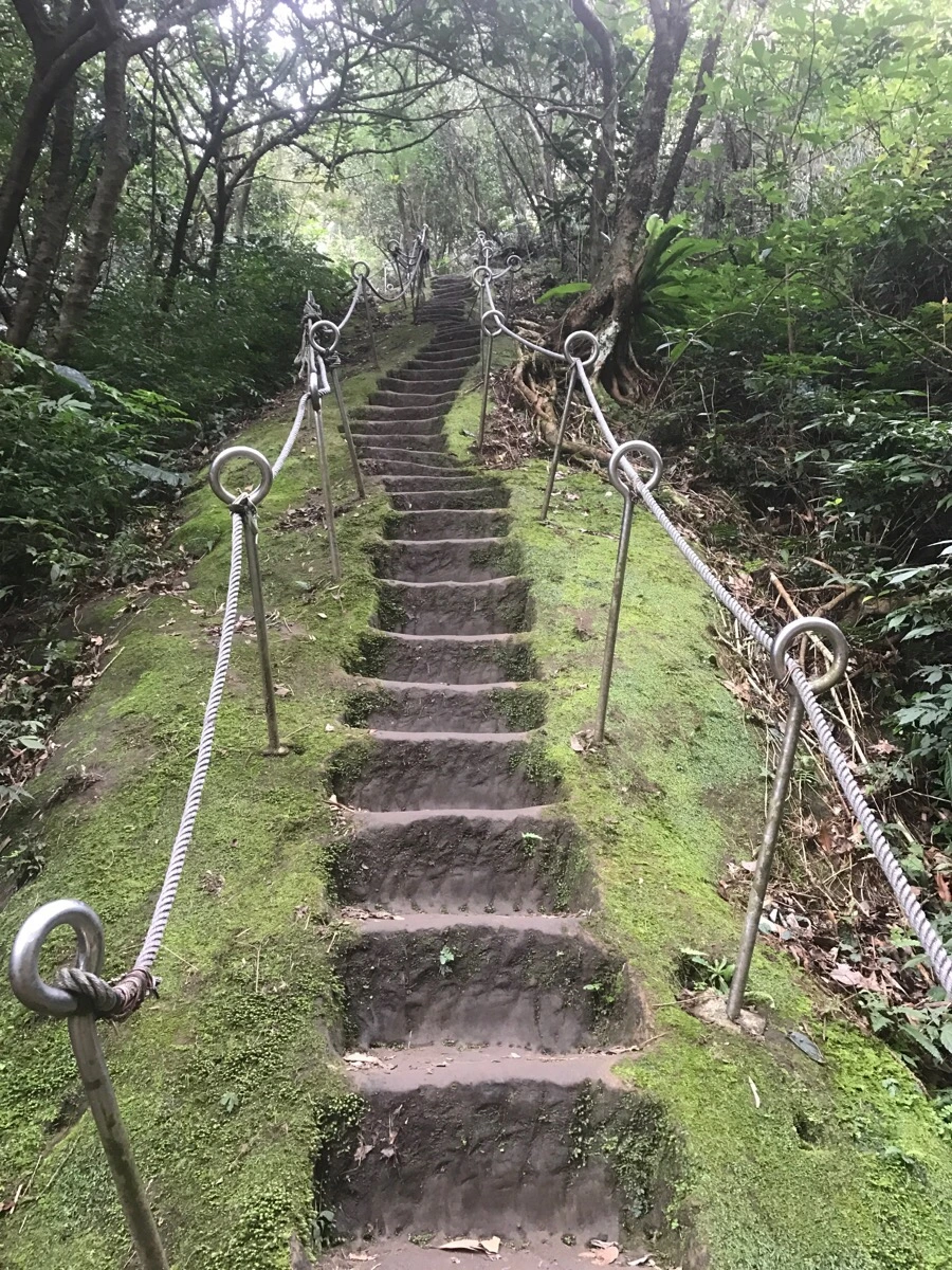 IMG_0980.jpg?type=w966