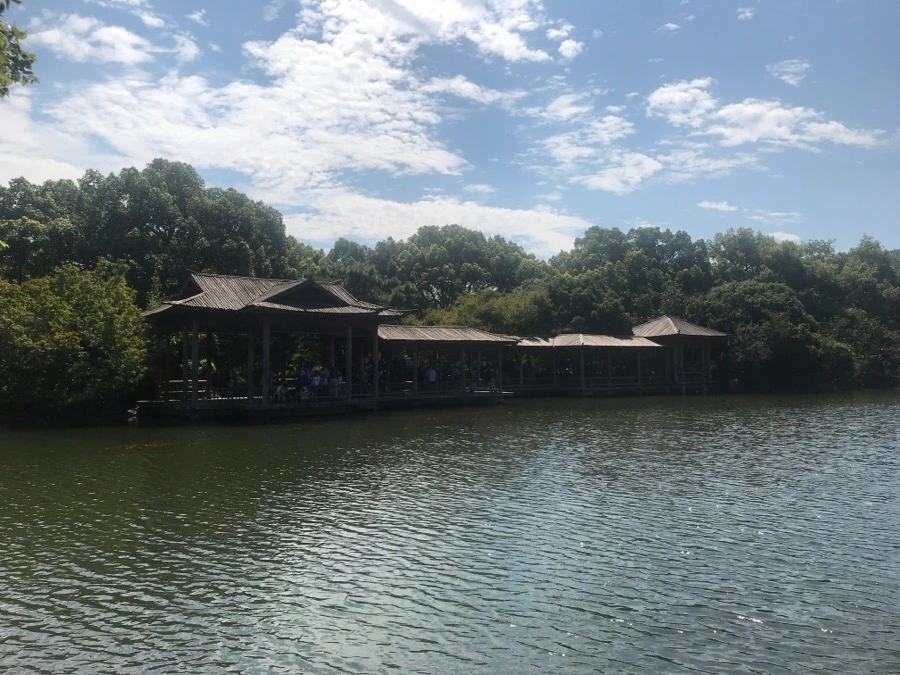 IMG_1209.jpg?type=w1