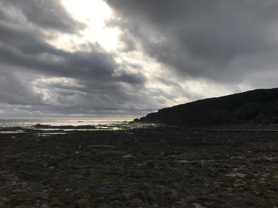 IMG_1551.jpg?type=w966