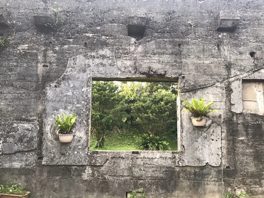 IMG_4020.jpg?type=w966