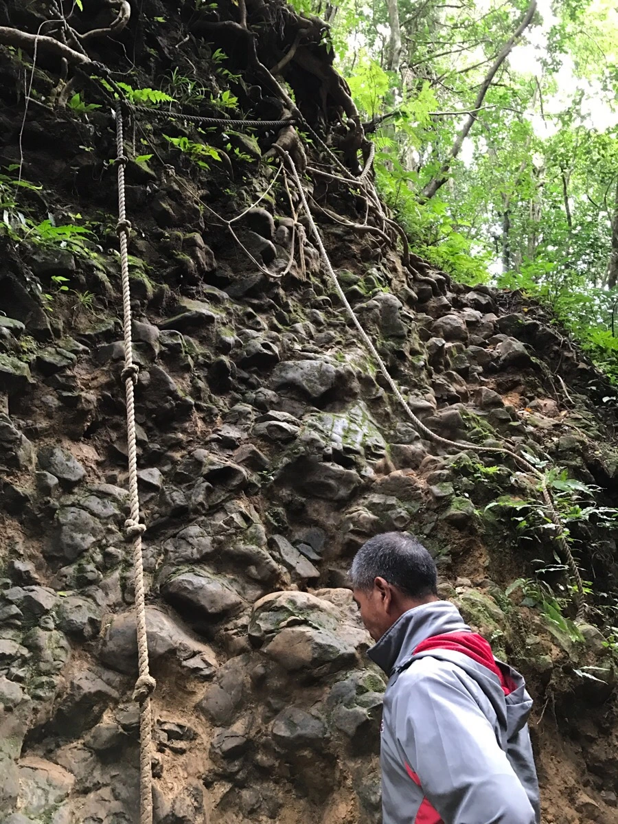 IMG_3657.jpg?type=w966